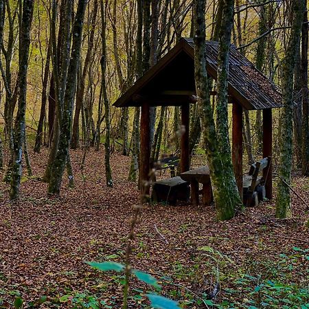 Domacinstvo Una-Ostrovica Kulen Vakuf Bagian luar foto